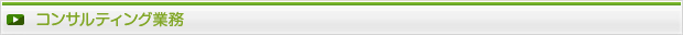 コンサルティング業務